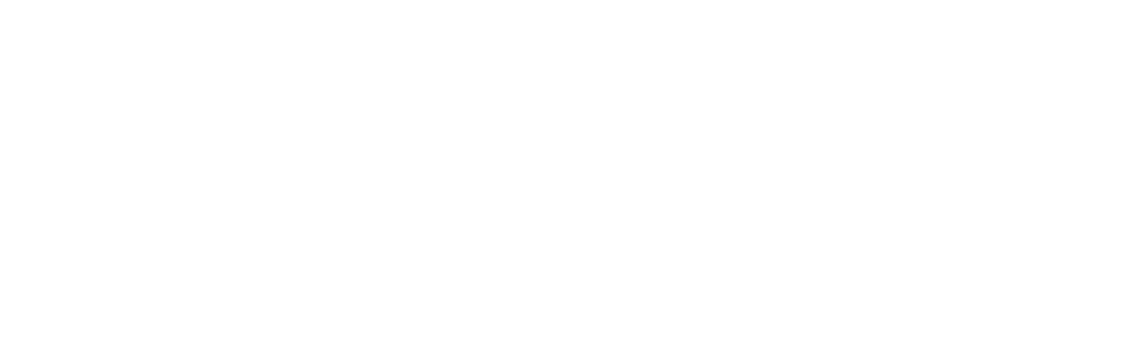 Your Company